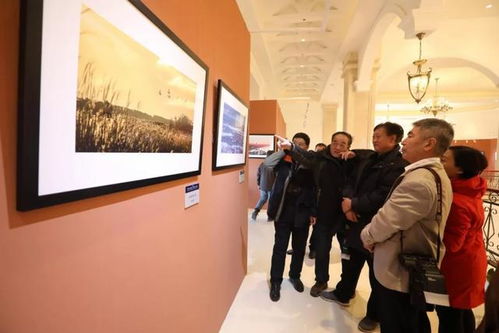 倪萍老師與您相約天鵝湖 文化藝術交流活動策劃